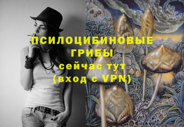 дурь Армянск