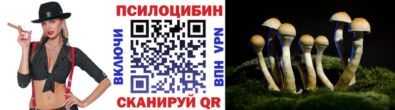 Псилоцибиновые грибы мухоморы  Ахтубинск 