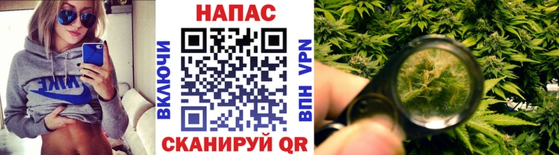 Конопля марихуана  блэк спрут вход  Ахтубинск  закладки 